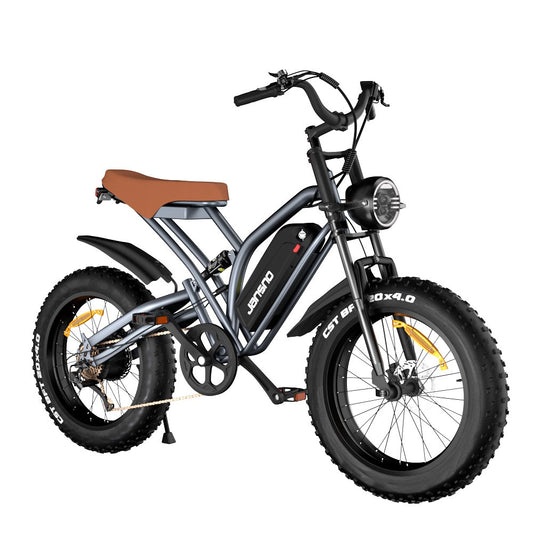 Jansno X50 Fat Tire E-Bikes, 20" X 4.0 Electric Bike for Adults with 750W Motor 48V 12.8Ah Removable Battery Ebike Mountain Bicycle