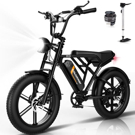 COLORWAY 750W Electric Bike for Adults,20X4.0 Fat Tire Off-Road E Bike,48V/15Ah Battery Snow Beach Mountain Bike for Outdoor Cycling E Bike